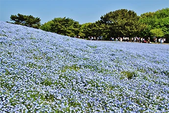 日立市のイメージ