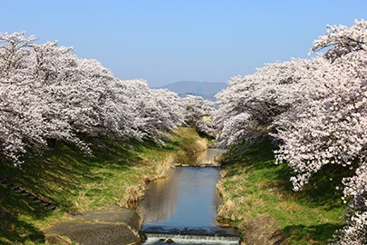郡山市への訪問打ち合わせのイメージ