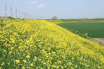 小山市のイメージ