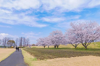 さくら市のイメージ