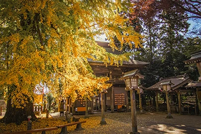 さくら市への訪問打ち合わせのイメージ